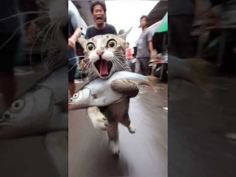 perfectly timed photos 😂 part 22