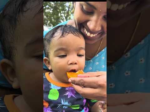 Survival Skills: SIMPLE and USEFUL#bushcraft #outdoors #camping