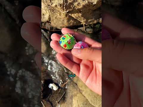 ุงูุจูุช ุฃู
ุณูุช ุงููุซูุฑ ู
ู ุงูุฃุณู
ุงู ๐๐๐๐โจ #ุงูุณุจููุฑ#ุชุฑูุฏ_ุงูุฎููุฌ#ููุฏูู_ูุตูุฑ