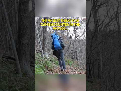 NEVER Camp in The Appalachian Mountains Alone…