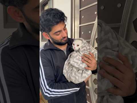 Rani 🐈 bani naha ke Maharani 👸😍 ##tranding #minivlog #cat #viralshort