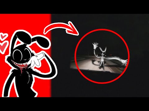 CARTOON RABBIT Captado en la Vida Real