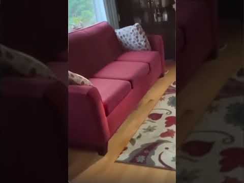 Dog Owner's Pet Sees Grandpa From Beyond The Grave - You Won't Believe What Happens Next!