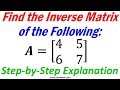 Matrix Determinants and Inverses