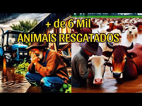 RESGATES IMPRESSIONANTES de ANIMAIS no RIO GRANDE do SUL