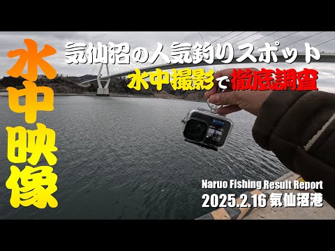 気仙沼の人気釣りスポットで水中撮影！気仙沼の海を徹底調査！