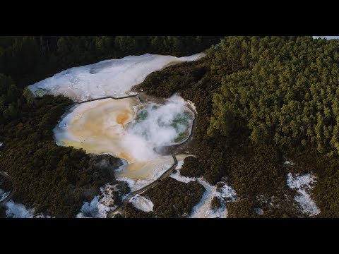 Make a Promise to our Sacred Guardians | Tiaki - Care for New Zealand