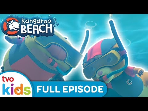 KANGAROO BEACH 🦘🏝 Stay Calm and Snorkel🤿NEW 2023 Season 1 Full Episode | TVOkids