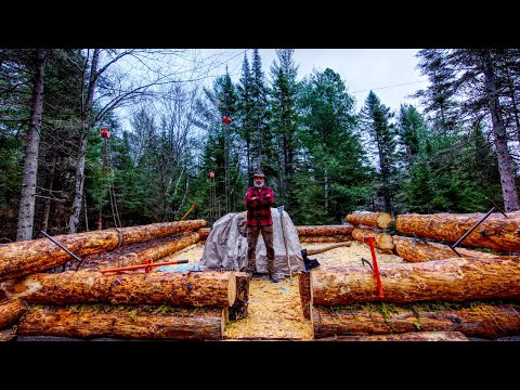 Building an Off Grid Log Cabin Alone in the Wilderness, Ep5, Wood Pegs