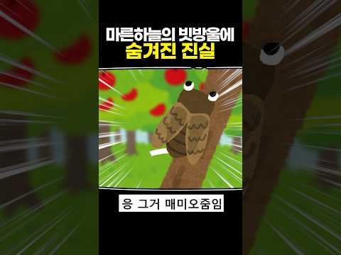 마른하늘의 빗방울에 숨겨진 진실