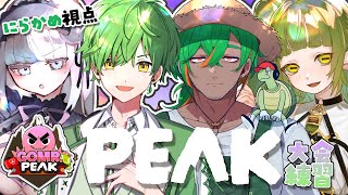【#PEAK】チームラベンダー大会前顔合わせ練習！【にらかめ/眠月ルナ/四ッ谷やえ/すいと】