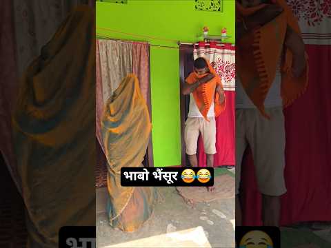 भाबो भैंसूर 😂😂#explore #fyp #explorepage #photooftheday #instadaily #facebookads #instalike #news