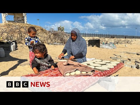 Many in Gaza facing 'famine-like conditions', UN's health agency says  | BBC News