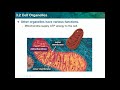 Cell Organelles and Their Functions