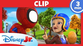 🕸️ Tante Petunias Verfolgungsjagd! | Spidey und seine Super-Freunde
