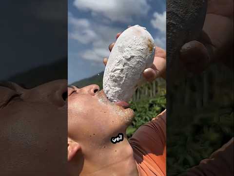 الجد والمانجو المدلل #arabicshorts