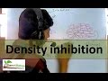 Cell Density and Cancer Growth