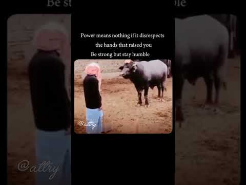 his obedience for his owner🙂#viralshort #respect