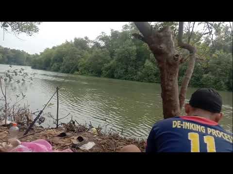 Dulur Mancing 88 LIVE !! #fishing