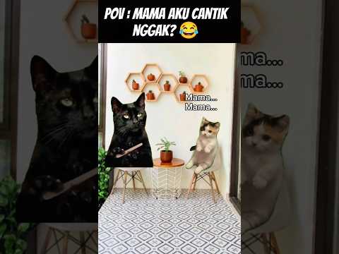 Pov : Aku Cantik Nggak? 😂 #meme #cat #kucing #animation #fypシ