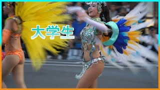 4K 大学生 サンバカーニバル ウニアン 美人 花小金井 2025 Samba 日本の祭り ビキニ風 グラビアアイドル級