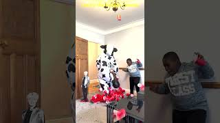 Dancing Polish Cow funny cow dance Cow Song Cow Videos in my bedroom funny video #shorts