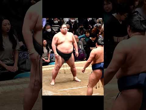 錦木