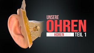 Das menschliche Ohr - Teil 1 - Hören (Animation)