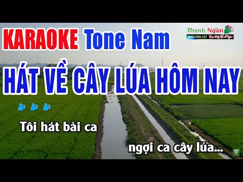 Hát Về Cây Lúa Hôm Nay Karaoke Beat Chuẩn Tone Nam – Nhạc Sống Thanh Ngân