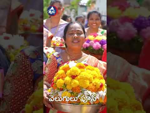 పువ్వుల మారాణి పుట్టిన అమాస #bathukammasongs2022