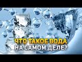Understanding the Unique Properties of Water