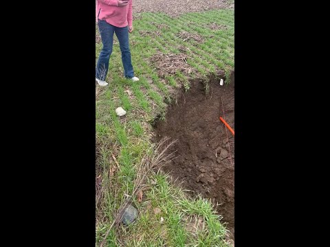 Sinkhole opens up on property in Charlotte