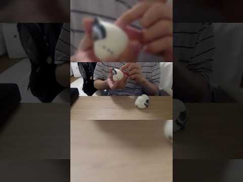 thumbnail_J-tMuV084m8