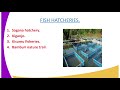 Fish Farming Concepts and Practices