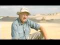 Exploring Evidence of Evolution and Fossil Records