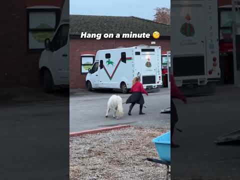 Love spotting a pony in among it all at Cheltenham Races 😂