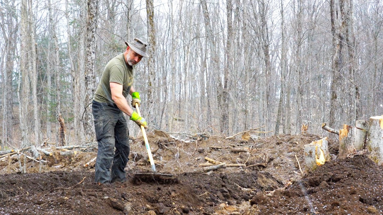 My Priorities Have Changed Sustainable Permaculture Protecting My Vegetables from Deer