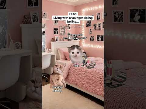 CAT MEMES 🐱Living with a younger sibling be like #catmemes #relatable #relationship
