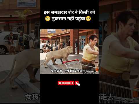 समझदार शेर ने किसी को नुकसान नहीं पहुंचाया 🥹|| #shorts #movie #anime