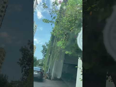 bình dương #short