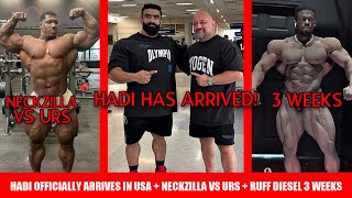 Hadi Officially Arrives in USA!! + Neckzilla Vs Urs: Who will Place Higher + Ruff Diesel 3 Weeks Out