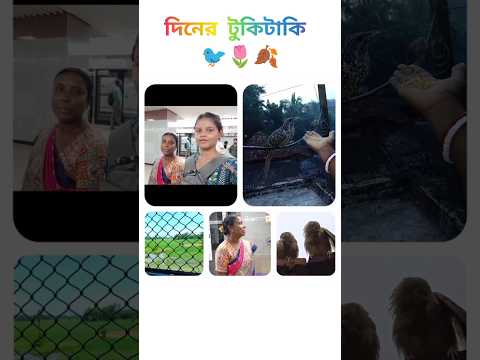 দিনের টুকিটাকি 🐦🍂🌷 #vlog #minivlog #dailyvlog #shorts #birds #subscribe #foryou @RimiNaskar672