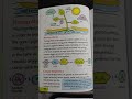 Photosynthesis and Plant Biology Concepts