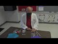 Understanding Basic Science Concepts