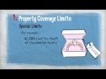 Navigating Homeowners Insurance Limits