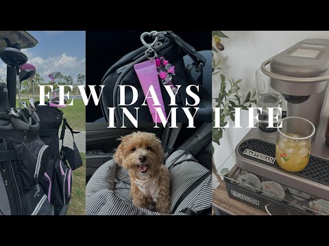 IM BACK *VLOG* | pr unboxing, shopping, dog park