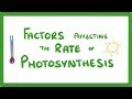 Factors Influencing Photosynthesis Rates