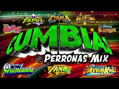 ⚡LAS MEJORES CUMBIAS PERRONAS MIX 2024✨GRUPO KONFUSION,SONIDO FANIA97,QUINTANNA,SONIDO FAMOSO Y MÁS