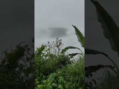 #kkrup41 #viralvideo