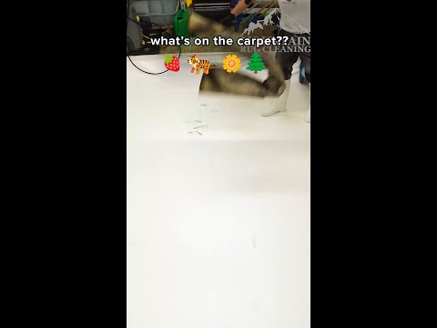 what do we think is below the dirtย ๐ trees? flowers? cute animals?? #springcleaning #rugcleaning
